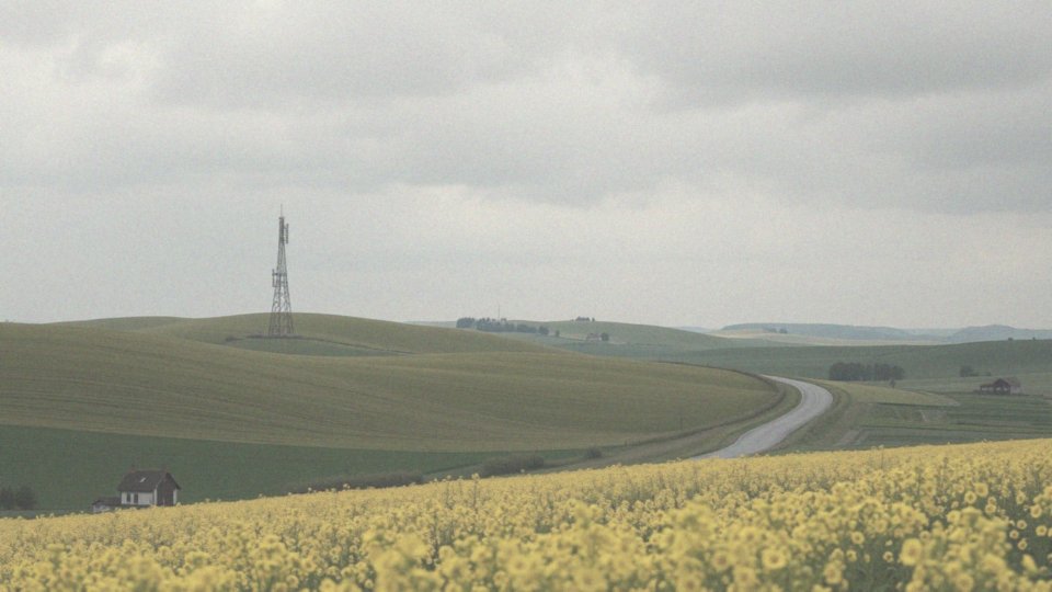 Czym różni się roaming krajowy od roamingu zagranicznego?