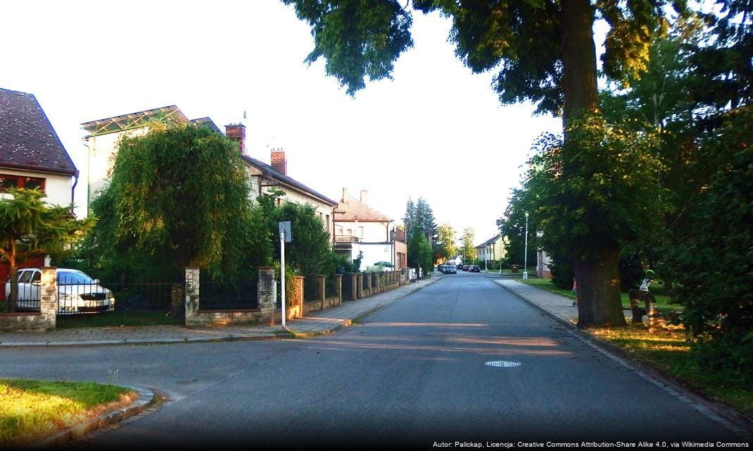 Licytacja pojazdów usuniętych z dróg publicznych w Ząbkach