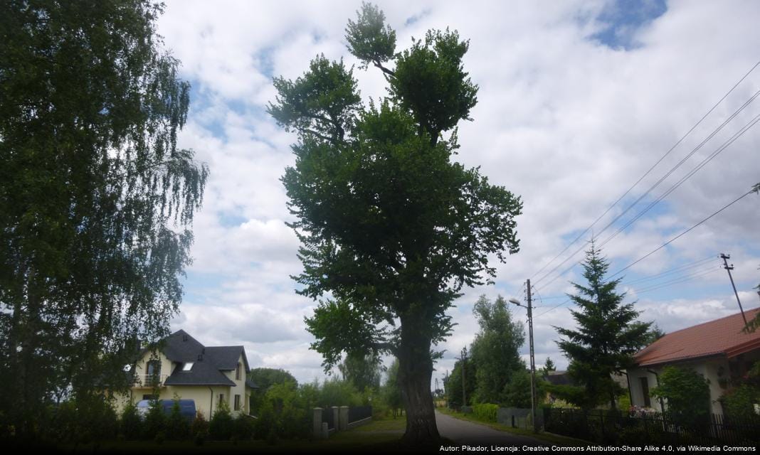 Konkurs Plastyczny Eko-Ozdoba Choinkowa 2025 w Ząbkach